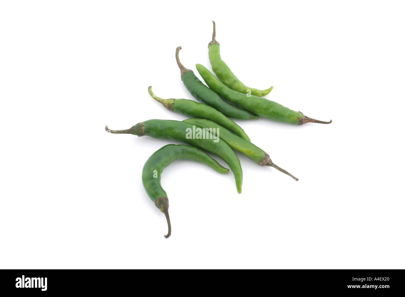 Chili auf einem weißen Hintergrund isoliert Stockfoto