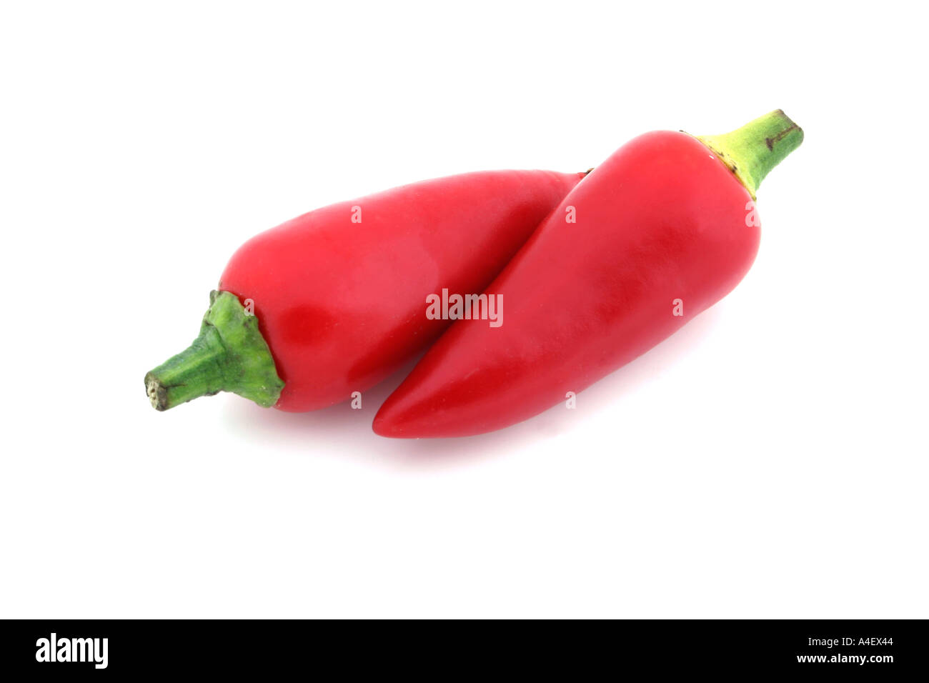 Chili-Still-Leben auf einem weißen Hintergrund Stockfoto