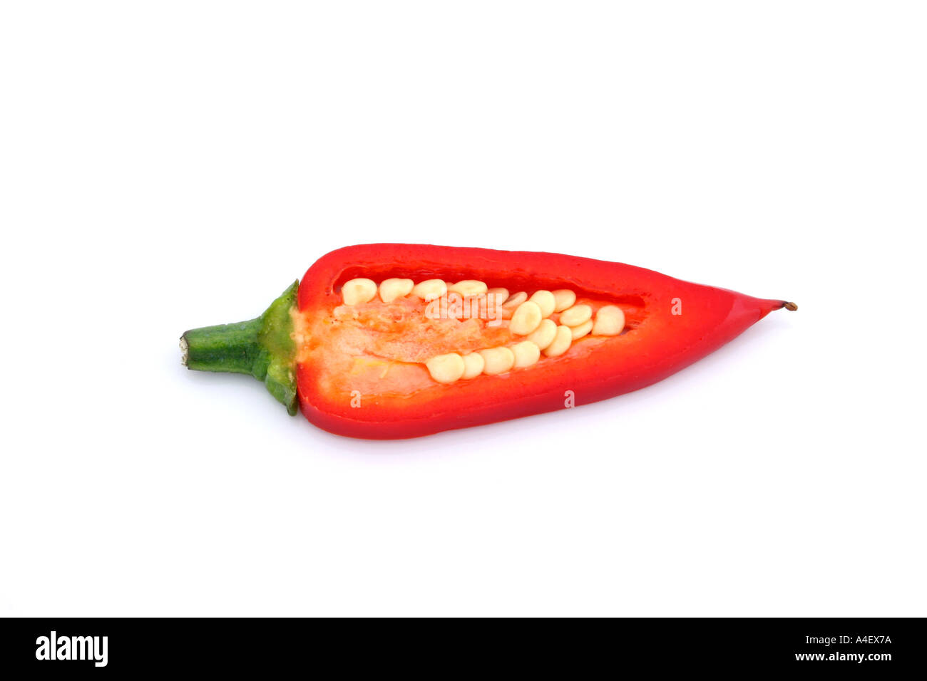 Scheibe von Chili isoliert auf weißem Hintergrund Stockfoto