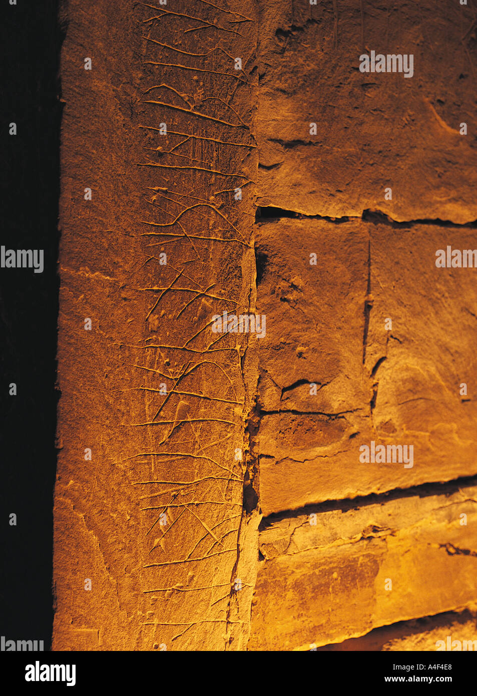 dh Kammergrab MAESHOWE ORKNEY ISLES Neolithische Alter Begräbnis Viking Rune auf einem Hügel Stein Runen Graffiti Runen Stockfoto