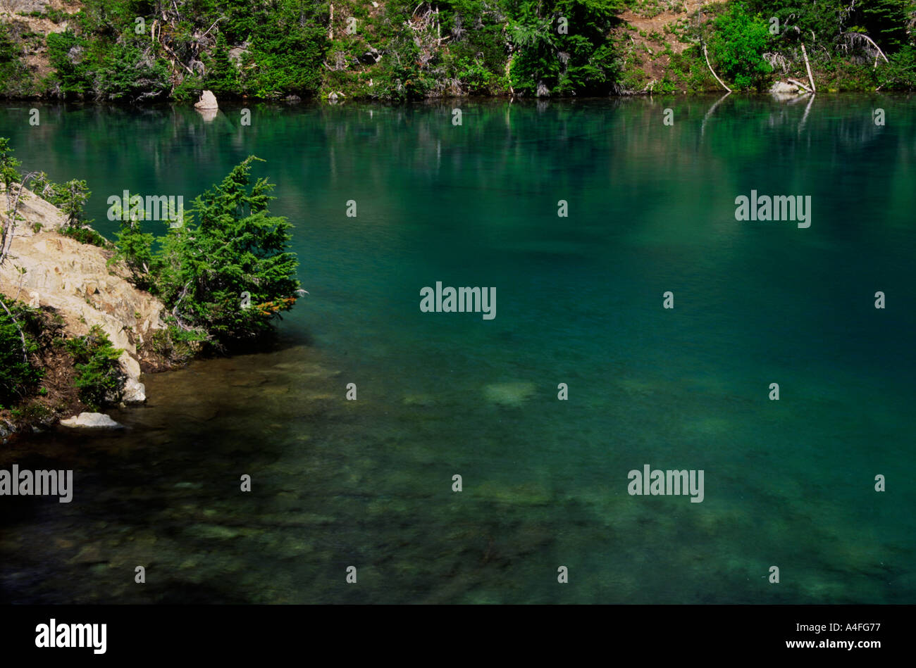 Smaragdgrüne Farbe Wasser in einen blauen See North Cascades Washington USA Stockfoto