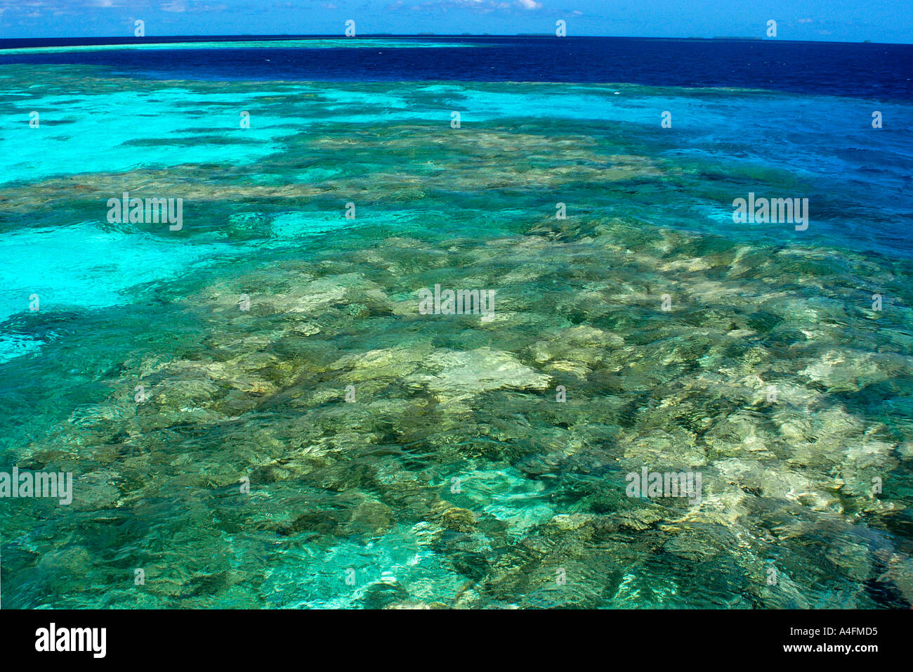 Coral Reef Namu Atoll Marshall-Inseln N Pazifik Stockfoto
