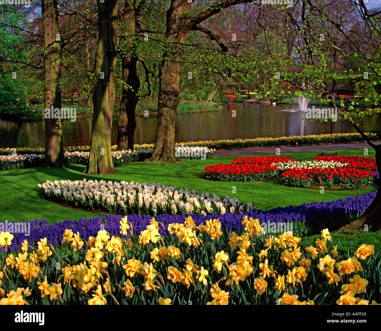 Keukenhof Gärten, Lisse, Niederlande Stockfoto