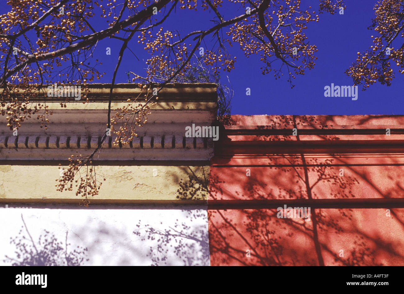 Colonia del Sacramento in Uruguay Häuser Wände sind in hellen Farben gestrichen. Stockfoto