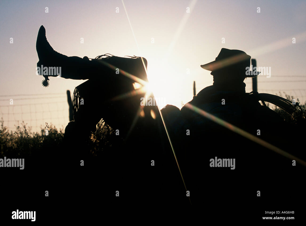 Silhouette eines Cowboys in den Rasen mit seinem Bein auflegen Stockfoto