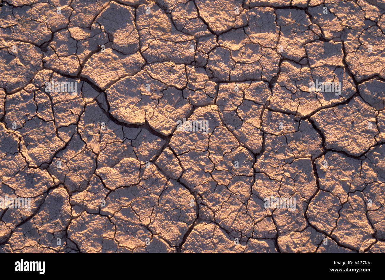 Rissige Erde hautnah Stockfoto