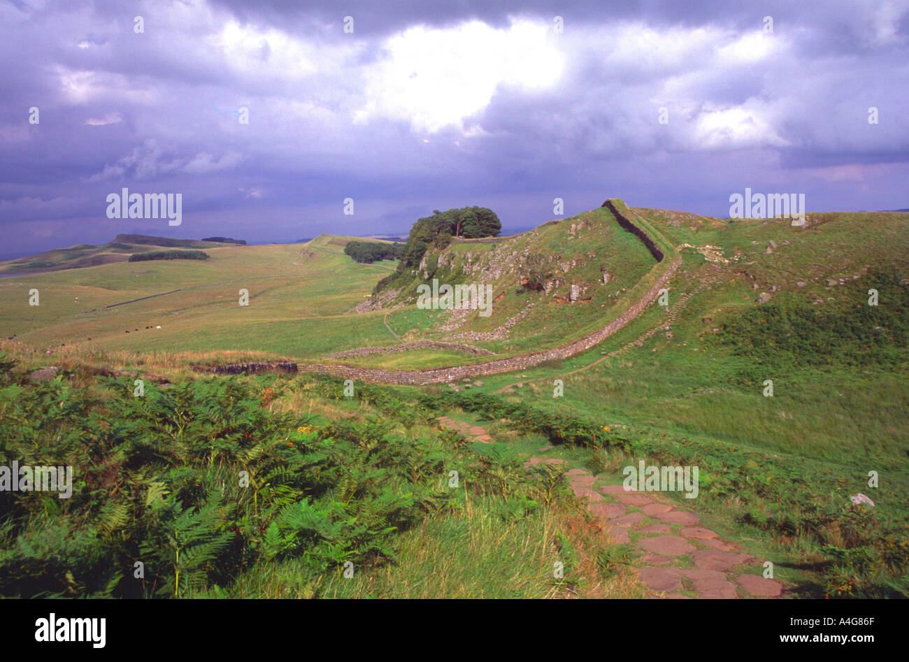 Cuddy s Crag Hadrian s Wand in der Nähe von Housesteads Nothumberland England Stockfoto