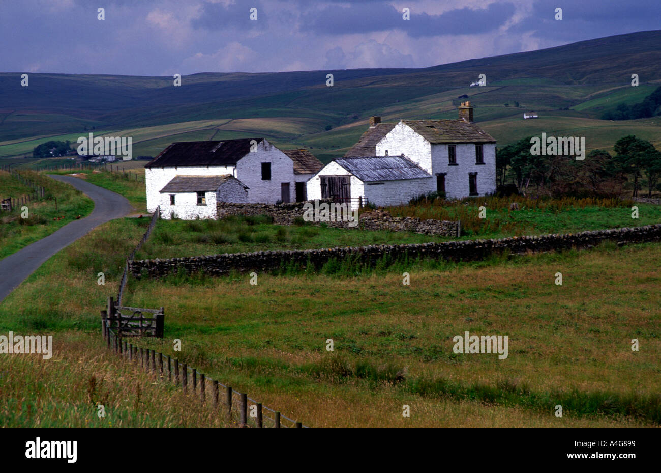 Weiß getünchte Unthank Bauernhaus Teesdale North Pennines England aufgegeben Stockfoto