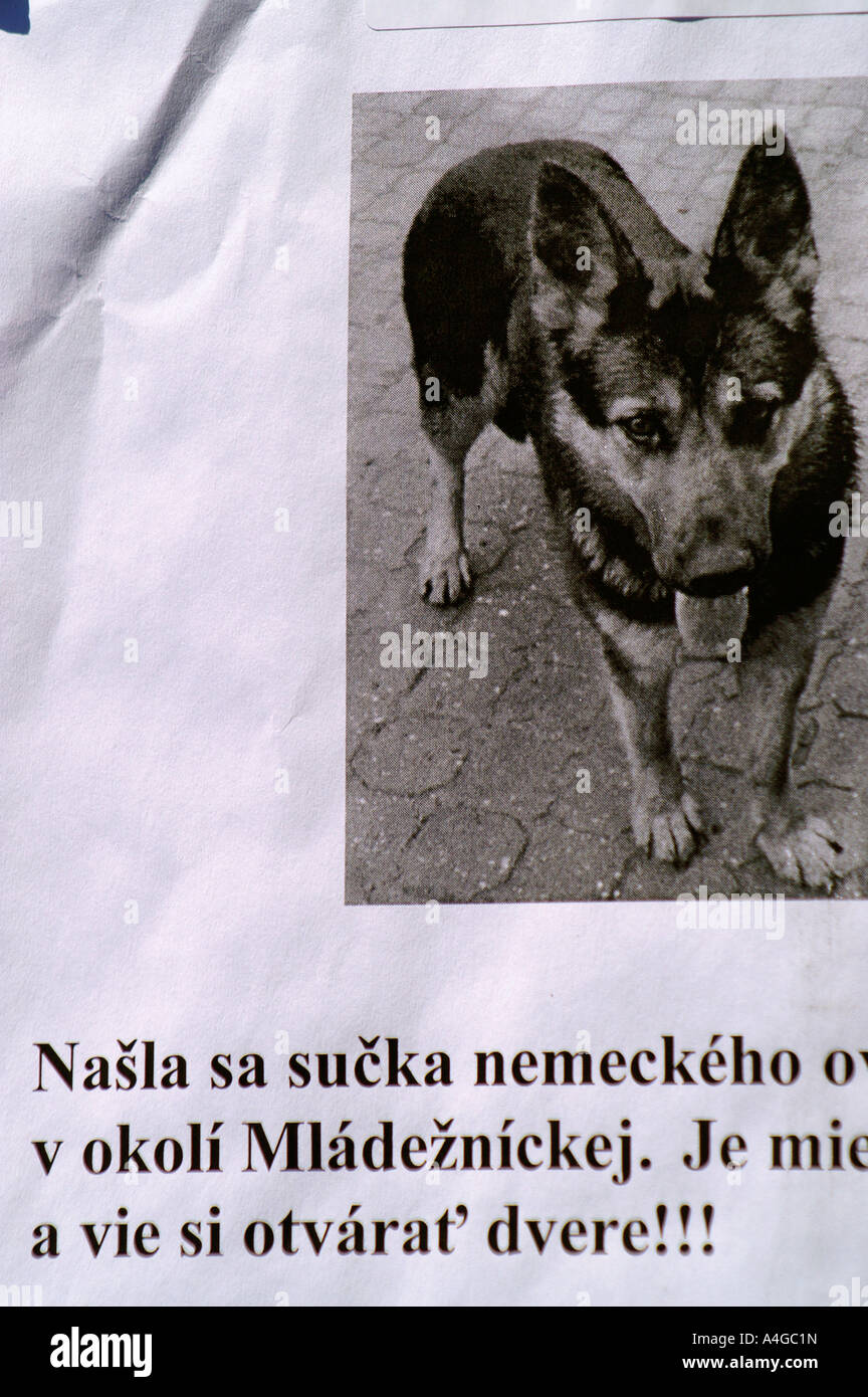 Ankündigung-Zeichen und Bild - Hund gefunden und es können Türen öffnen, in slowakischer Sprache Stockfoto