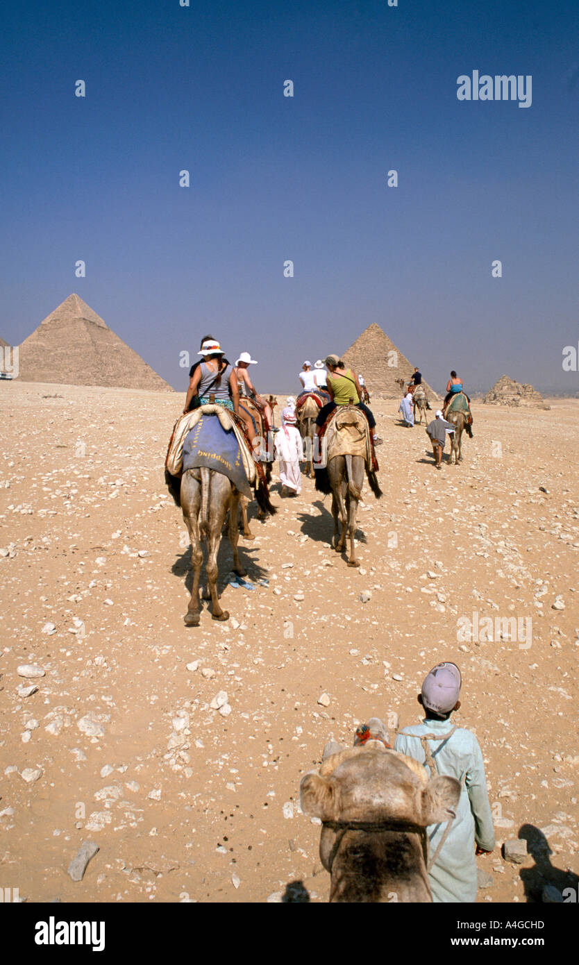 Touristen nehmen einen geführten Kamel reiten in der touristischen Region der Gizeh-Plateau Kairo Ägypten Stockfoto