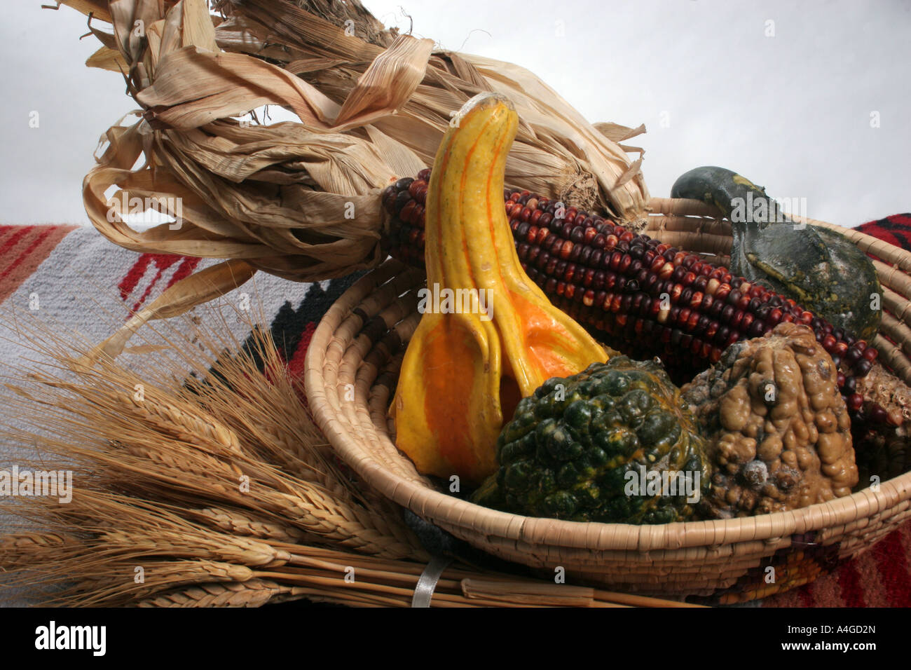Native American Korb auf einer Decke mit Weizen, Mais und Kürbisse Stockfoto