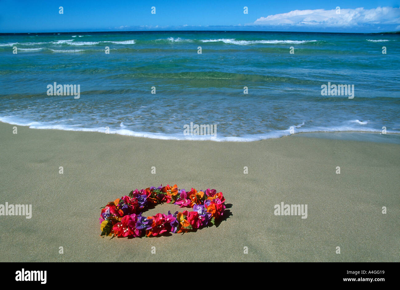 Leis auf Strand Hawaii U S A Stockfoto