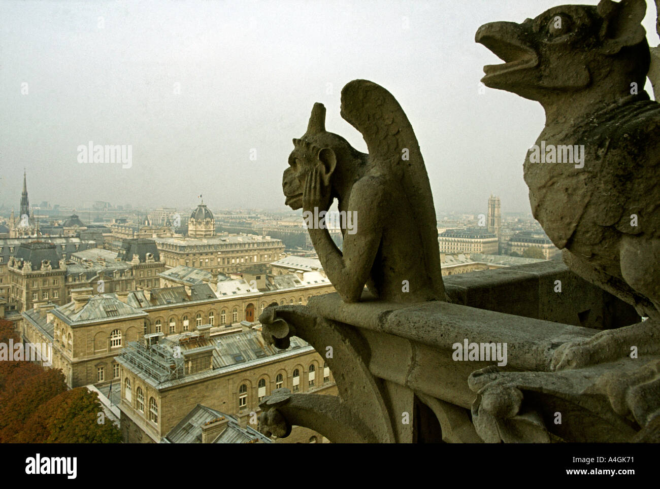 Frankreich Paris Notre Dame Kathedrale Wasserspeier und Dächer Stockfoto