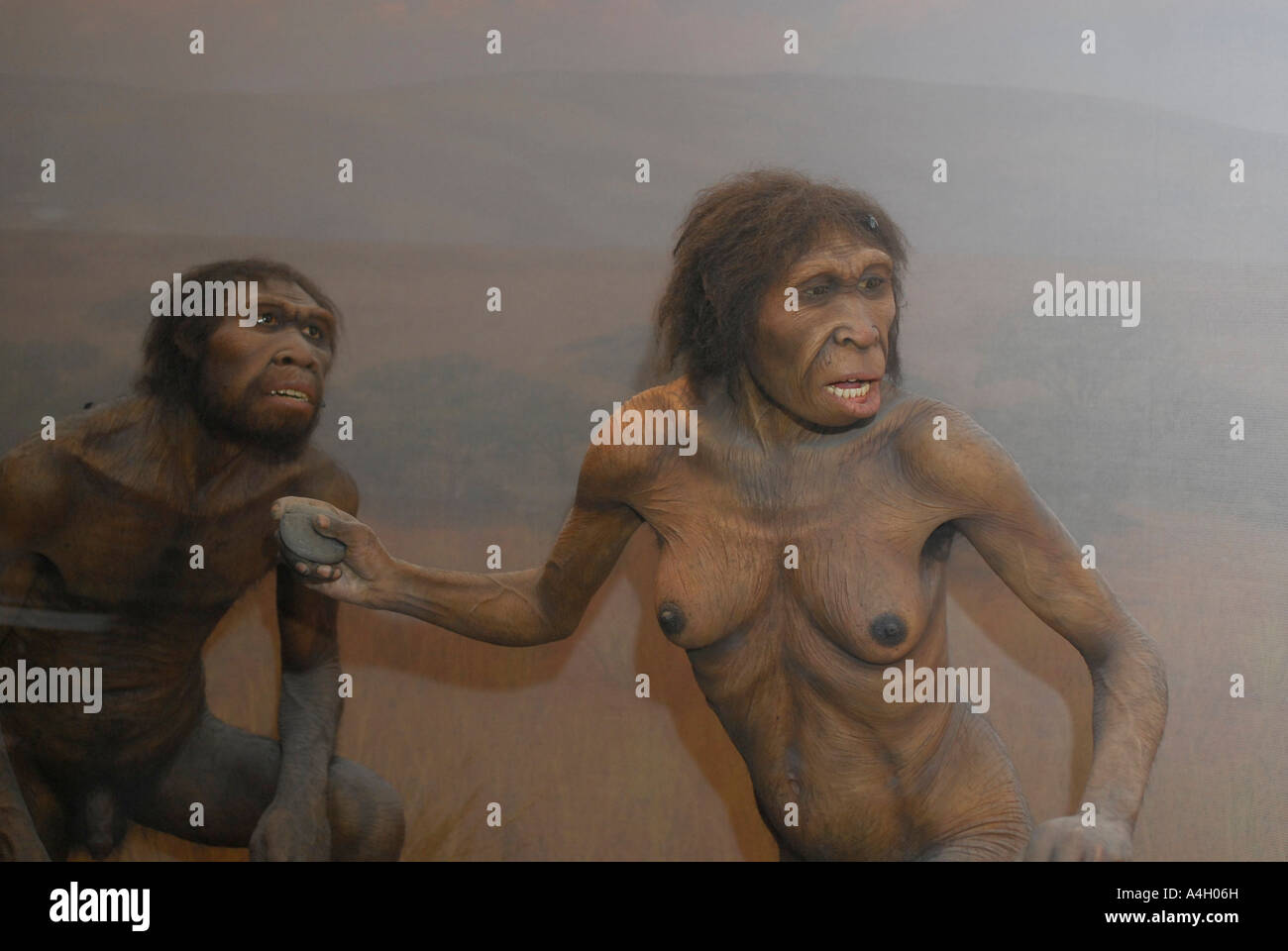 Turkana Boy Homo Ergaster Lake Turkana Kenia 1 6 Millionen Jahren Skelett bietet die umfassendsten Beweise der menschlichen ev Stockfoto