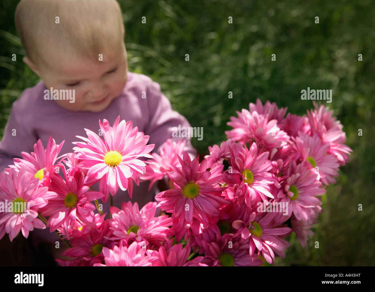 Baby mit Blumen Stockfoto