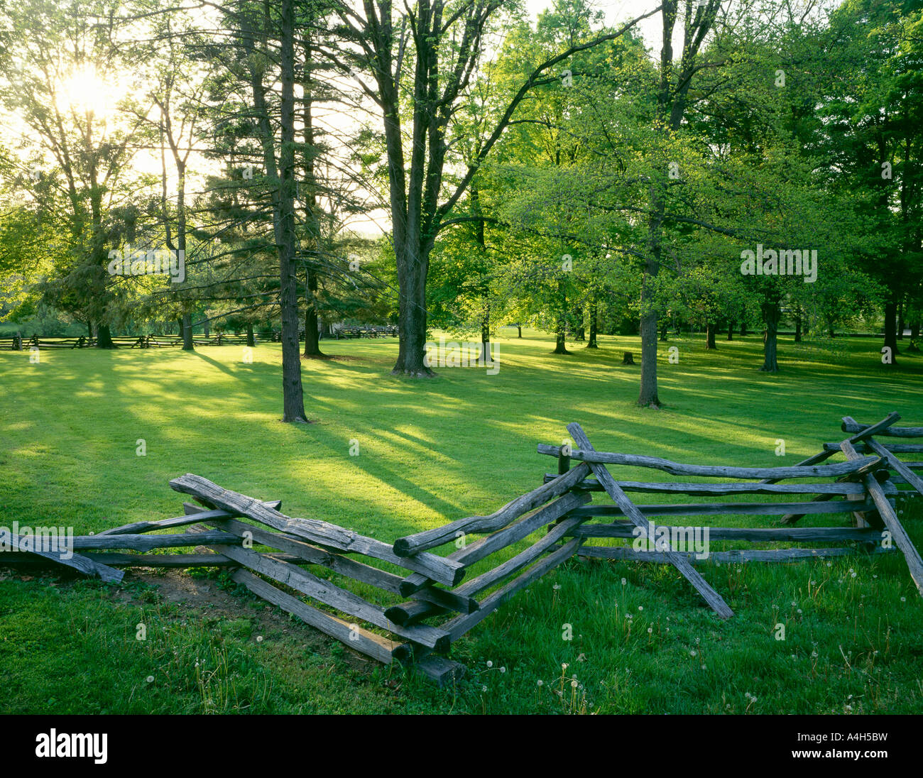 Frühling in der Nähe von George Washingtons Headquarters, Senke-Schmiede nationaler historischer Park, Pennsylvania, Usa, Stockfoto