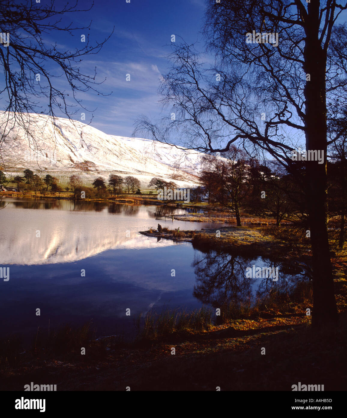 Winter Hecht Angeln, St Mary s Loch, Scottish Borders Stockfoto