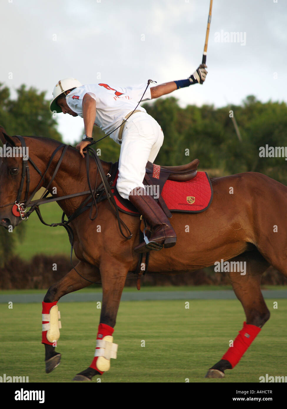 Stock und Ball, Polo. Stockfoto