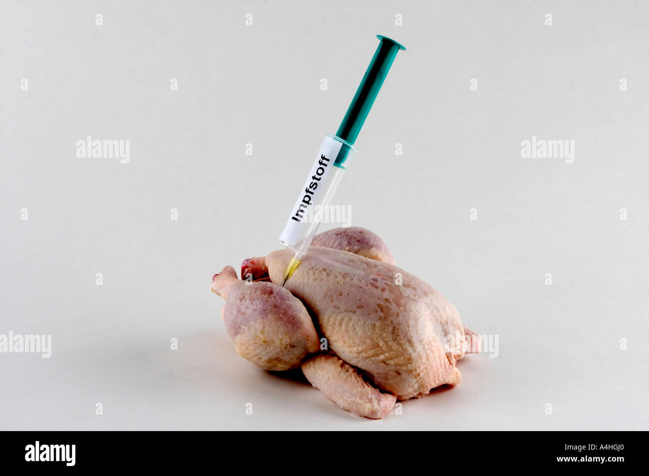 Huhn Vogel Grippe Influenza Pandemie Krankheit Biohazard Gefahr gefährlich Gesundheit sicher Sicherheit Vorsorge Stockfoto
