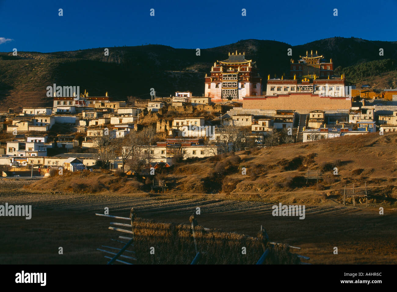 Jietang Songlin Kloster außerhalb Zhongdian Provinz Yunnan China Stockfoto