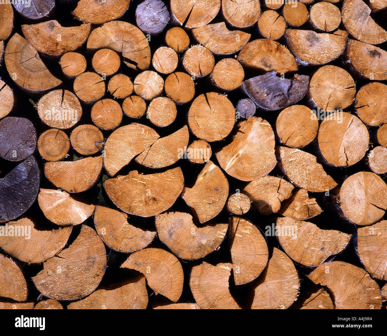DE - Bayern: Holzstoß Stockfoto
