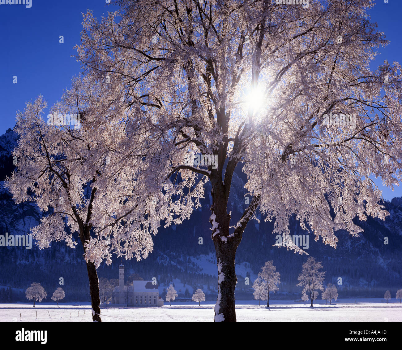 DE - Bayern: Winter am St. Coloman in der Nähe von Schwangau Stockfoto