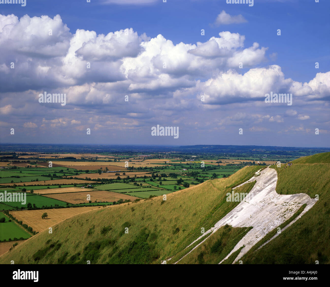 GB - WILTSHIRE: Westbury White Horse Stockfoto