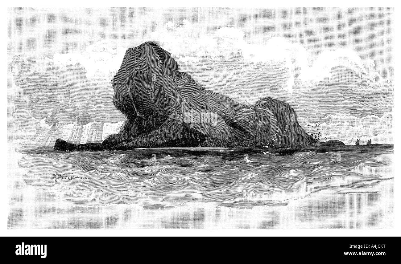 Lion Island, Australien, 1886. Artist: Unbekannt Stockfoto