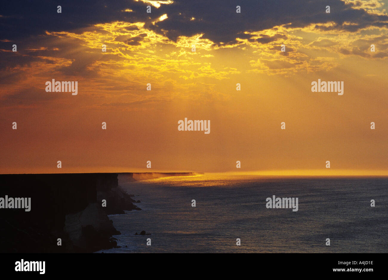 Bunda Felsen erodiert Kalkstein Küste Great Australian Bight South Australia mit goldenen Hintergrundbeleuchtung Spray bei Sonnenaufgang Stockfoto