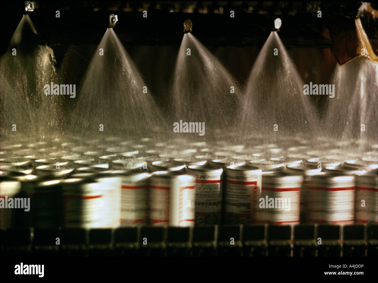 Bier-Geschwindigkeit durch die Konservenindustrie Linie in einer California-Brauerei. Stockfoto