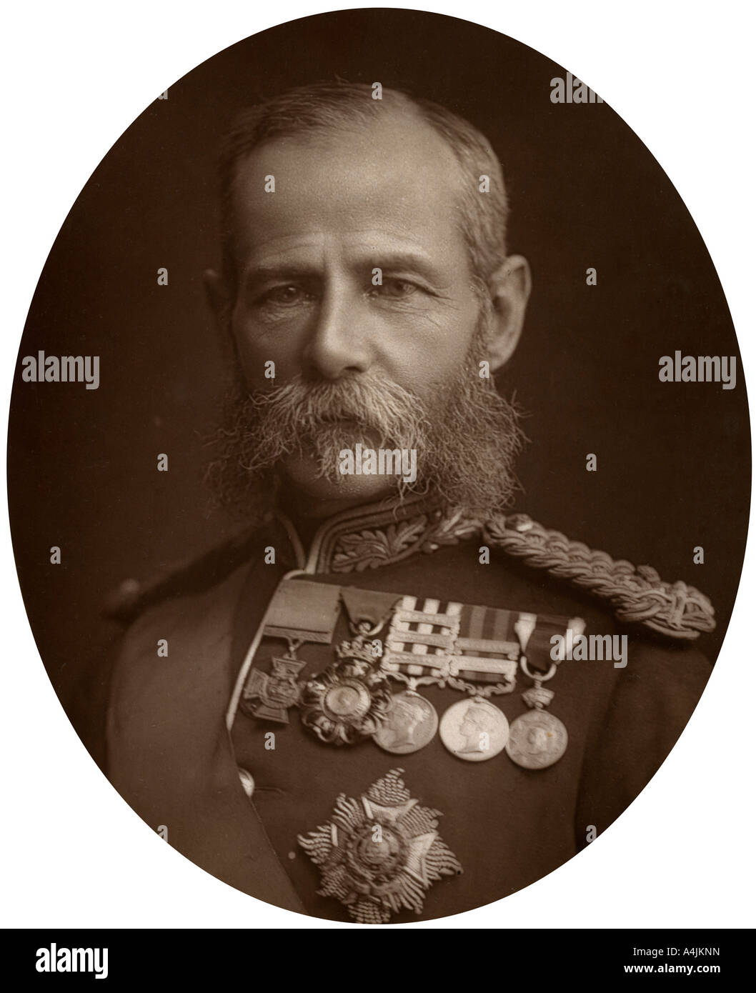 General Sir Frederick Sleigh Roberts, 1882. Artist: Sperren & Whitfield Stockfoto