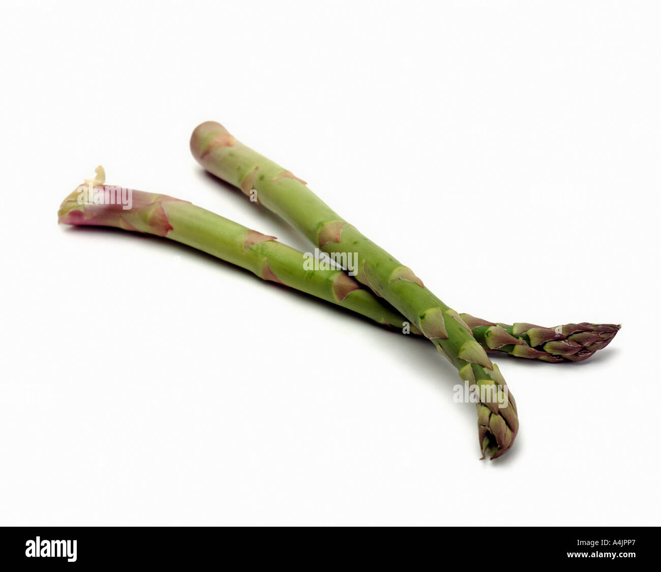 Zwei grüne Spargel auf weißem Hintergrund Stockfoto