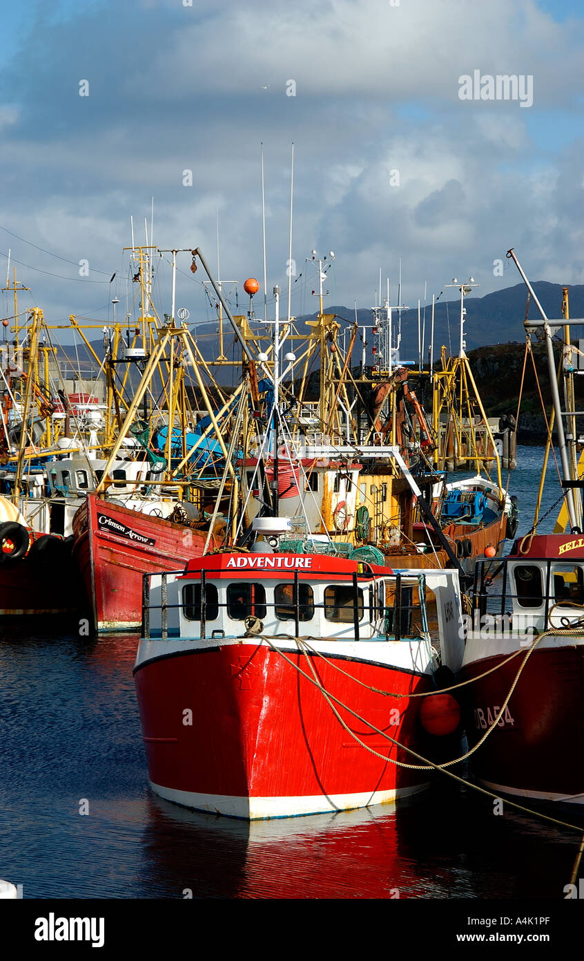 Angelboote/Fischerboote vertäut im Hafen von Mallaig Scotland UK Stockfoto