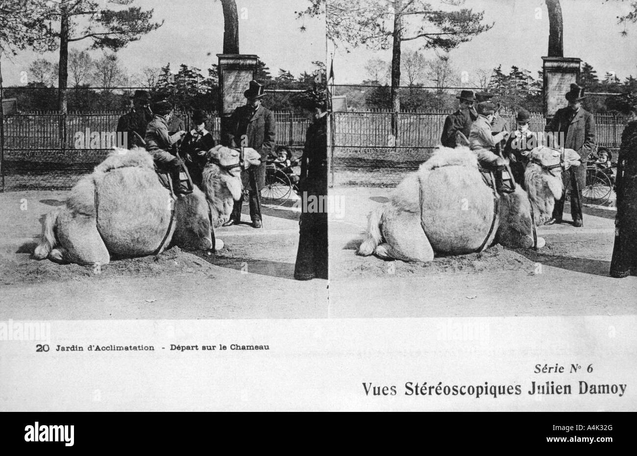 Kamelritt, zoologische Gärten, 1900. Künstler: Julien Damoy Stockfoto