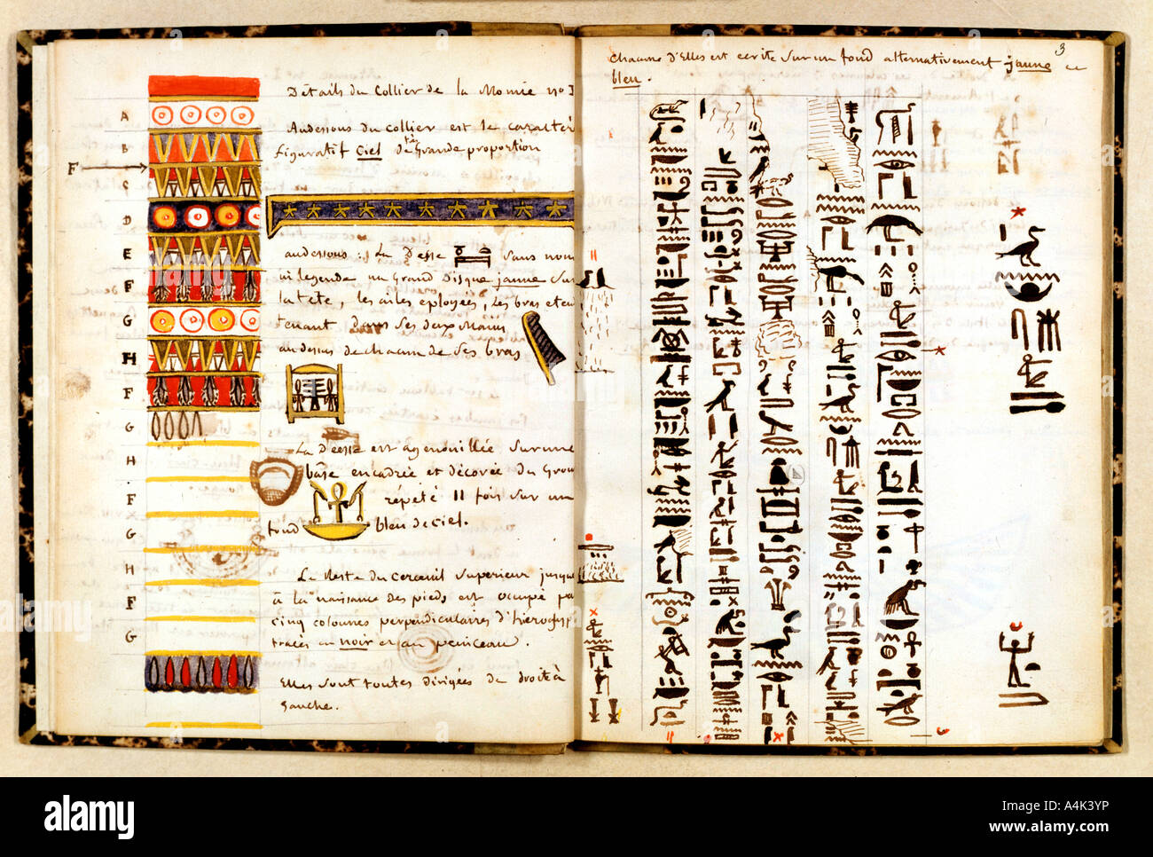 Hieroglyphen im Notebook von Jean-Francois Champollion, c 1806-1832. Artist: Jean-Francois Champollion Stockfoto