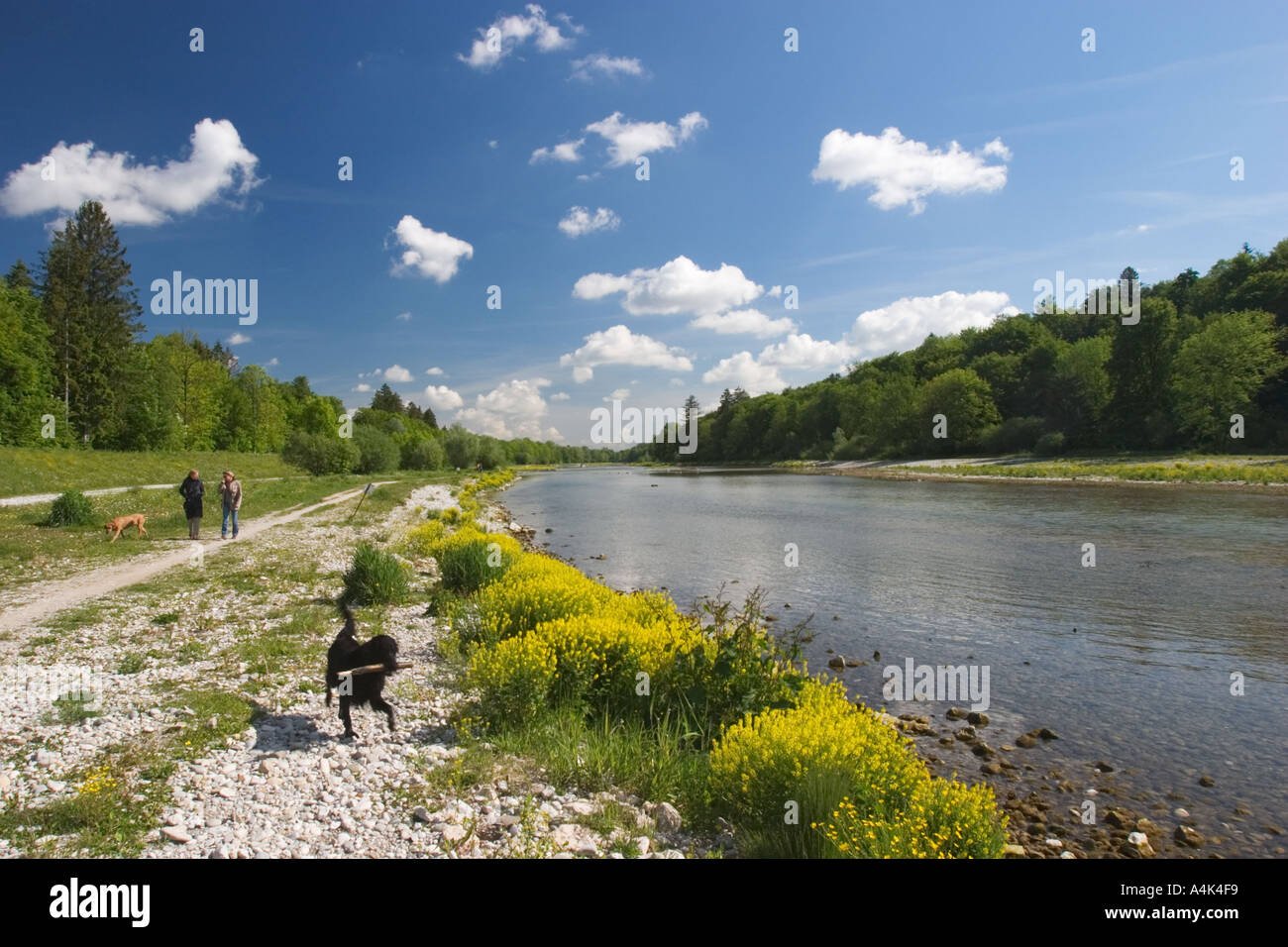 Fluss Isar in München Stockfoto