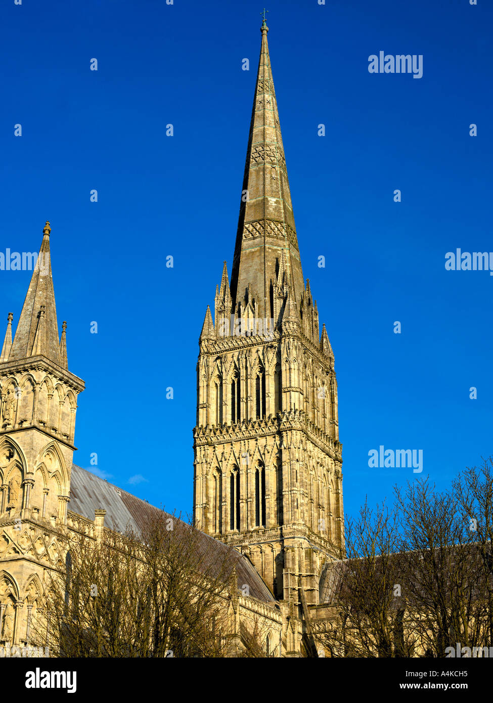 Salisbury Wiltshire England Salisbury Cathedral höchster Spire in Großbritannien Stockfoto