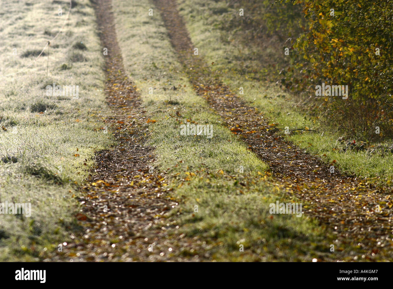 Frankreich, Jura, ländlichen Weg im Herbst Stockfoto
