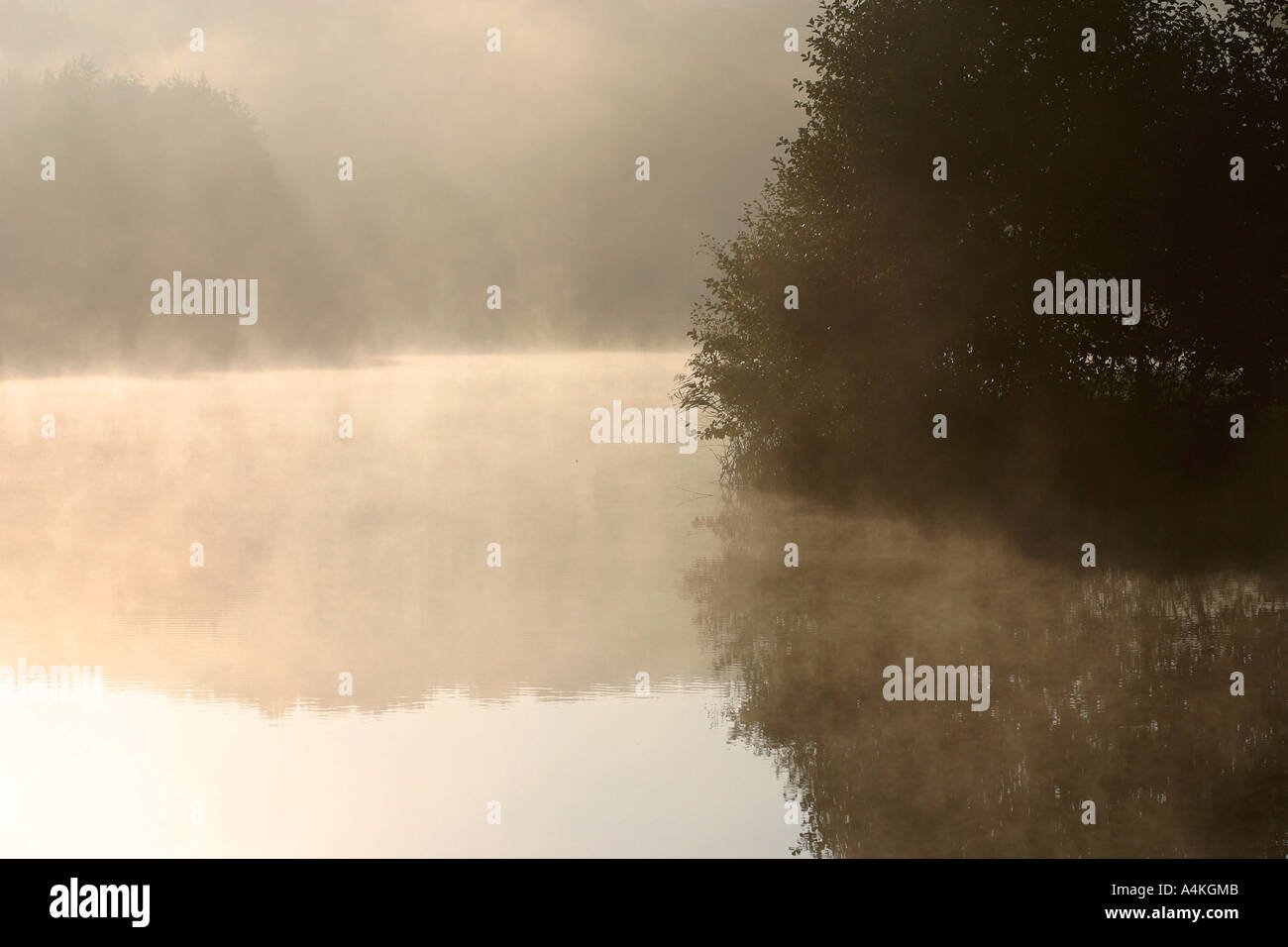 Frankreich, Jura, Nebel über Teich Stockfoto