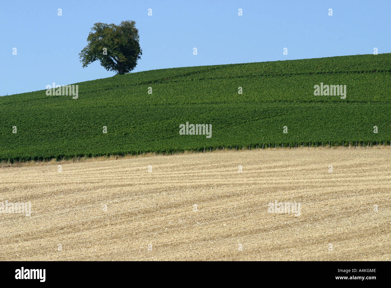 Frankreich, Champagne-Ardenne, Landschaft Stockfoto