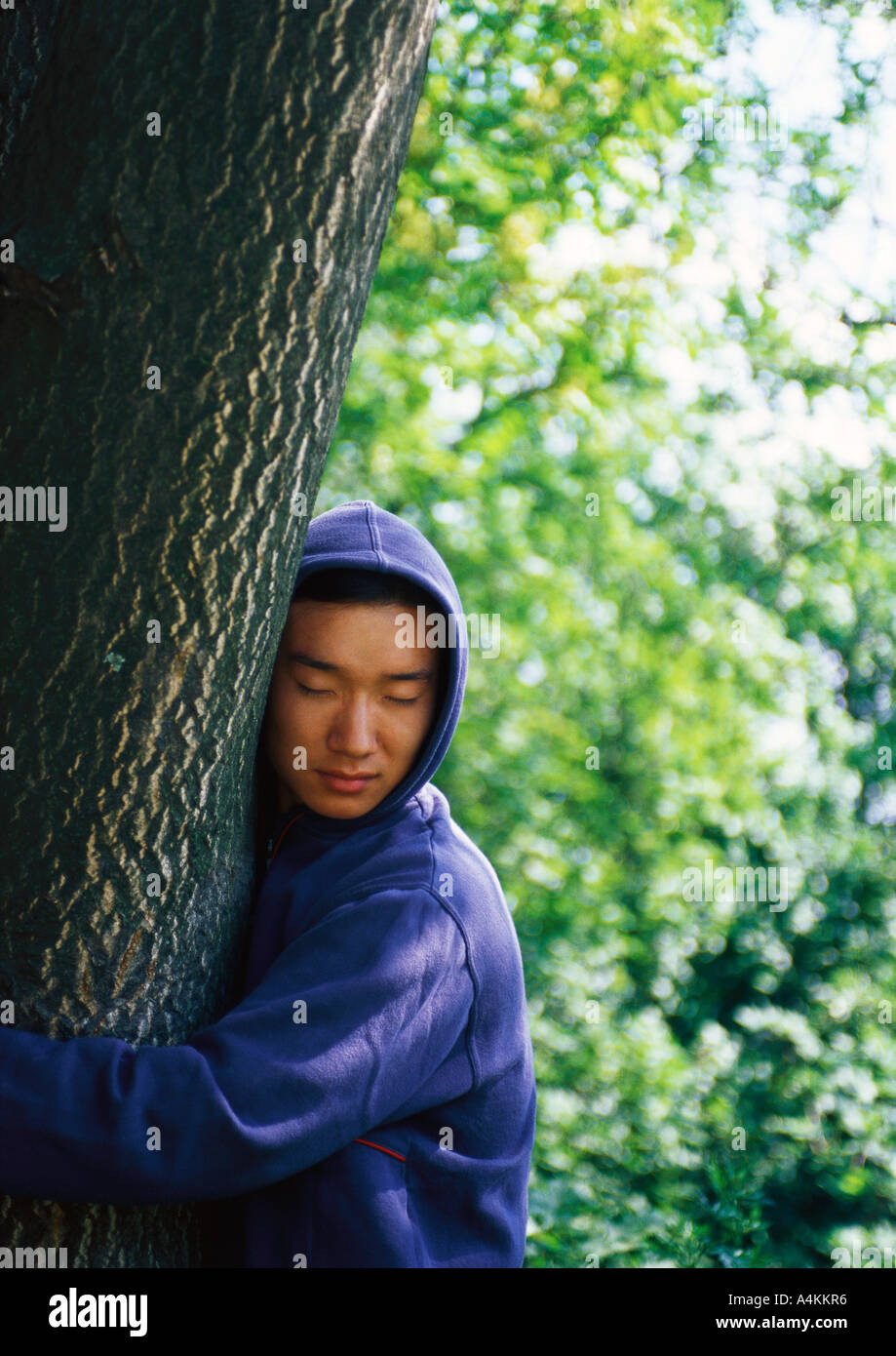 Mann mit Kapuzensweater Baum umarmen Stockfoto