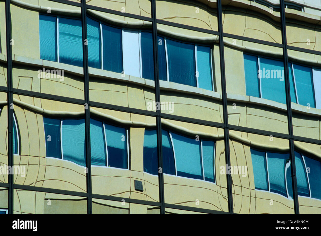 Reflexionen über ein Glasgebäude in Bellevue, Washington, USA Stockfoto