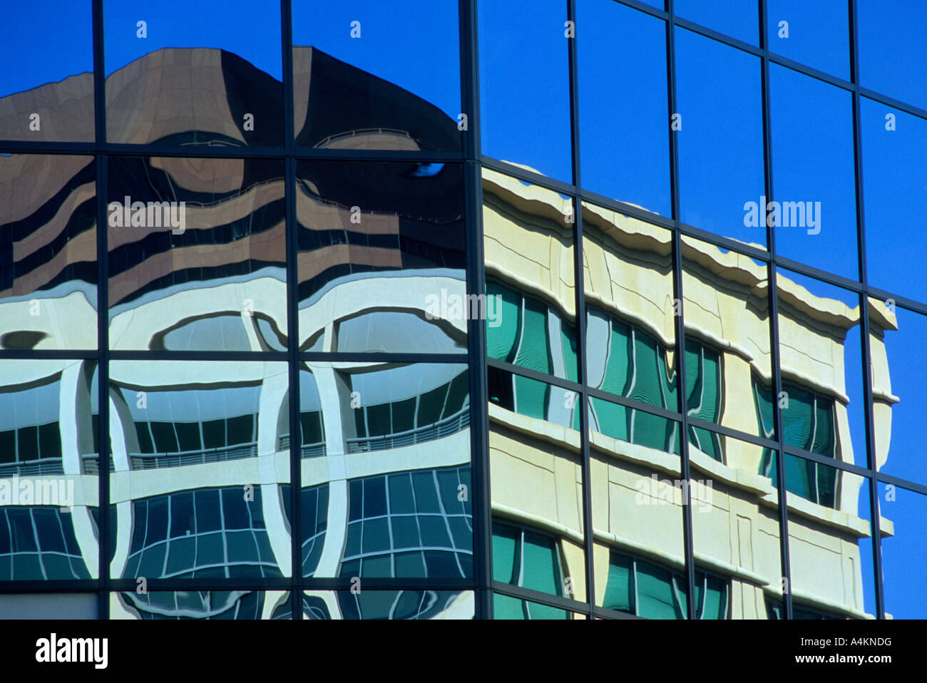 Reflexionen über ein Glasgebäude in Bellevue, Washington, USA Stockfoto