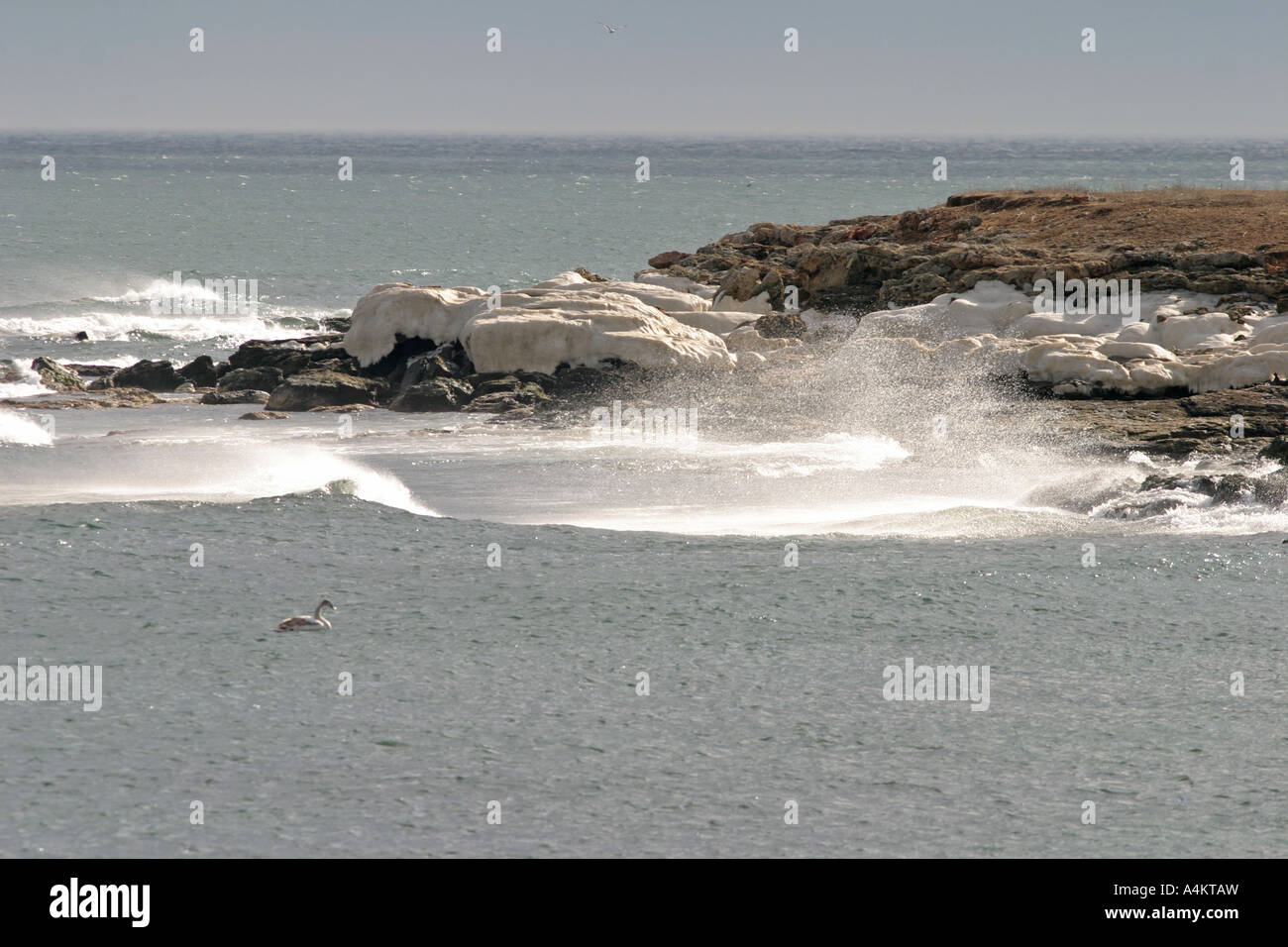 die Küste in der Nähe von Kap Shabla, Schwarzmeerküste Bulgariens, Stockfoto