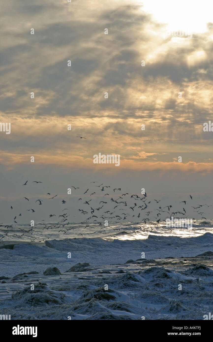 Gefrorene Meer, Küste des Schwarzen Meeres in der Nähe von Schabla, Bulgarien Stockfoto