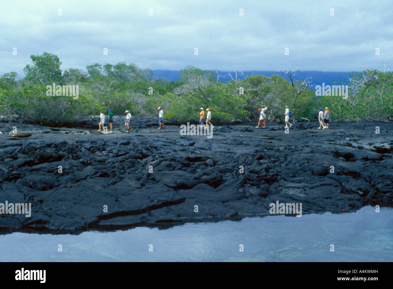 Touristen zu Fuß über die Lava auf Fernandina Insel, Galapagos-0034 Stockfoto