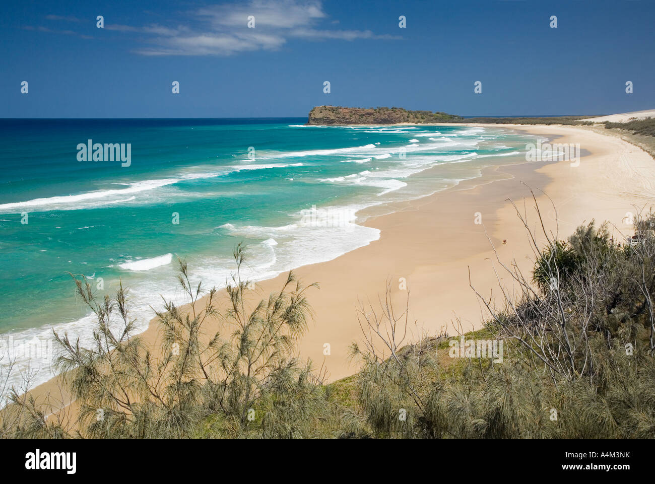 Taylor Bay, Fraser Island, Queensland, Australien Stockfoto