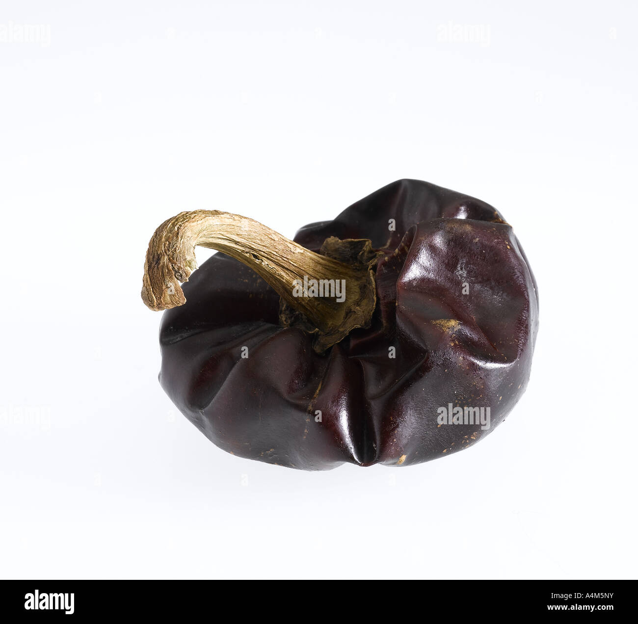Ñora kleine Paprika aus Spanien Stockfoto