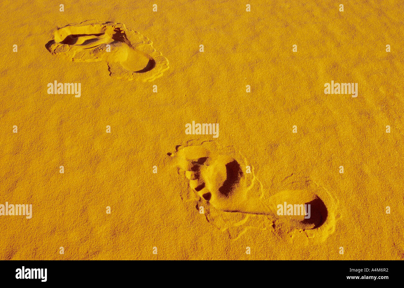 Fuß Schritte Fussspuren im sand Stockfoto