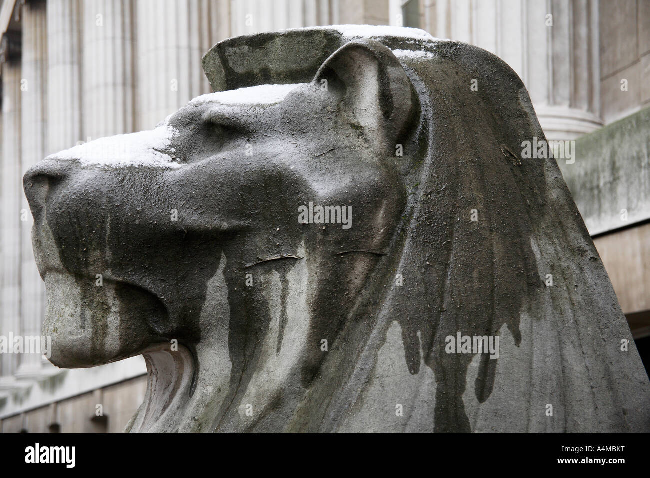 Statue von Löwenkopf mit Schnee schmelzen. British Museum, Bloomsbury, Camden, London, England, Vereinigtes Königreich Stockfoto